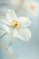 Canvas Print - Close-Up of White Flower in Natural Light Showing Detailed Petals and Soft Background