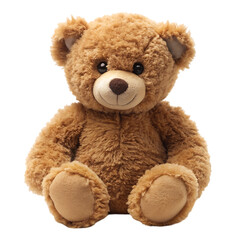 teddy bear isolated on white