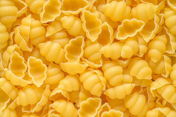 Gnocchi shells raw pasta spread out on a textured surface or background.