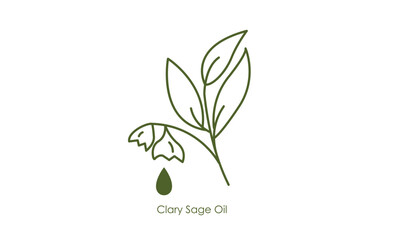 natural clary sage oil vector icon
