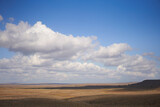 Fototapeta Konie - Summer landscape with withered grass field, sunny blue sky and clouds.