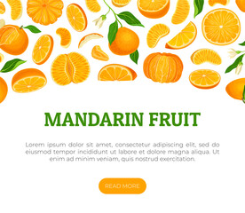 Poster - Mandarin Ripe Fruit Banner Design with Exotic Plant Vector Template