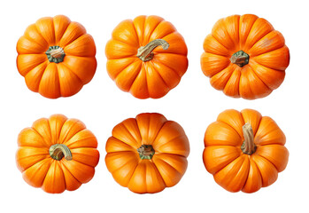 Vibrant pumpkins set against a white background, captured in their full ripeness and ready for use in Halloween and Thanksgiving celebrations. This design concept highlights food and nature, with a se