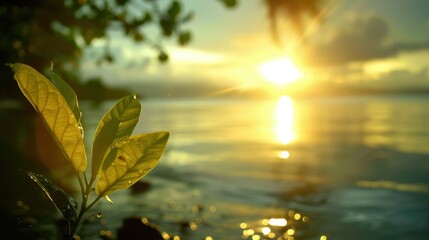 Canvas Print - Golden Sunset Over Tranquil Ocean