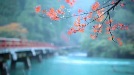 Poster - Autumn Leaves and Bridge in Japan