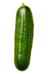 Canvas Print - PNG Pickle vegetable cucumber plant.