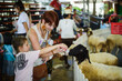 © katya - Mom and daughter feed the sheep at the Dream World amusement park in Bangkok, Thailand