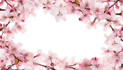 Wall Mural - pink cherry blossom frame border isolated on transparent background cutout