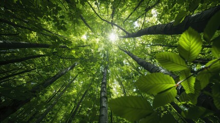 A forest canopy with sunlit green leaves and tree trunks, creating a lush and vibrant natural scene that captures the feeling of being immersed in nature's green sanctuary.