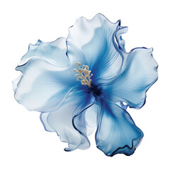 Wall Mural - abstract blue flower isolated on transparent background cutout