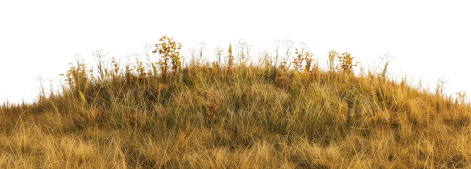 Sticker - PNG Hill ground grass vegetation.