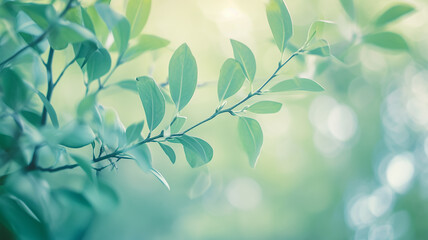 Wall Mural - green leaves of bushes and trees in the sunlight close-up