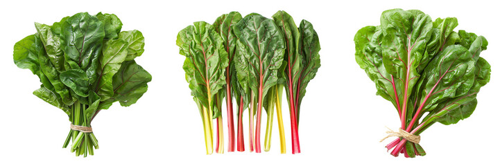 Set of Fresh Swiss chard leaves isolated on transparent background  (2)