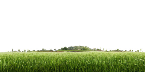 Sticker - PNG Lush green field under sky