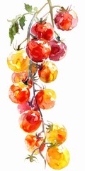 Wall Mural - Watercolor Cherry Tomatoes. Hand-drawn Illustration of Ripe Organic Vegetables in Vibrant Colors on White Background