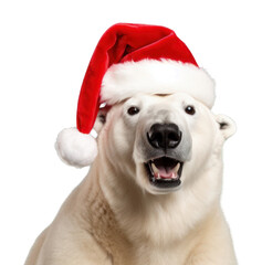 Poster - PNG Christmas polar bear, transparent background