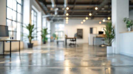 Wall Mural - A white potted plant sits on a table in a clean, empty office. The plant is the only object in the room, and it is the only thing that stands out