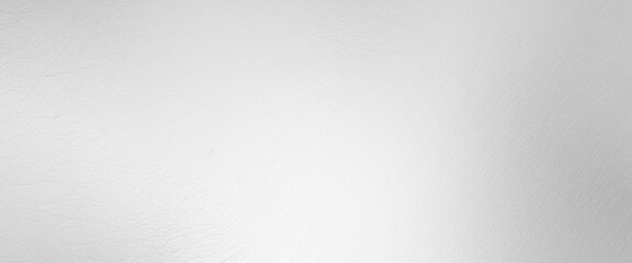 Poster - Abstract luxury white gradient background used for display product ad and website template, gray Background gradient light from studio backdrop use us Background.