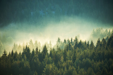 Wall Mural - beautiful autumn landscape in the mountains