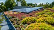 © Studio - Green roof with flowering sedum plants and a row of blue solar panels for climate adaptation Renewable energy system for green electricity Rooftop garden with photovoltaic