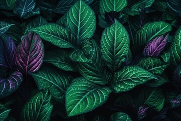 Poster - Dark Green Tropical Foliage