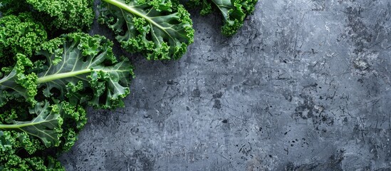 Poster - Table with grey background showcasing fresh kale leaves in a flat lay arrangement providing a blank area for text in the image. Creative banner. Copyspace image