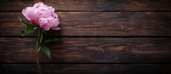 Poster - Pink peony flower on a dark wooden surface offering ample copy space for a heartfelt Mother s Day message creating a warm and inviting background theme
