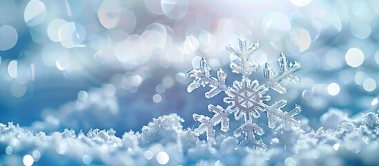 Poster - A white snowflake displayed against a soft focus gleaming white and blue backdrop offering copy space for design templates