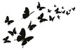 © Rawpixel.com - PNG Butterflies flying silhouette stencil animal bird.