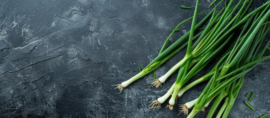 Poster - Fresh green spring onion arranged on a slate surface with text space available highlighting the health benefits of this vegetable in a visually appealing copy space image