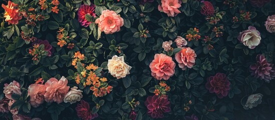 Poster - Copy space image showcasing numerous lovely flowers set against a dark backdrop ideal for design projects