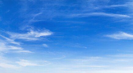 Wall Mural - sky is blue and clear with no clouds