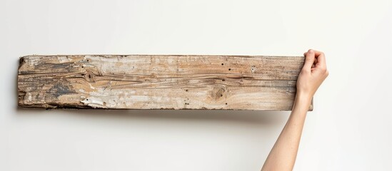 Fototapete - A woman s hand grasping a wooden plank against a white backdrop providing ample copy space for an image