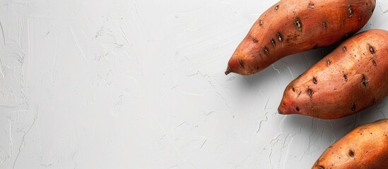 Poster - Sweet potato on a plain white backdrop with copy space image