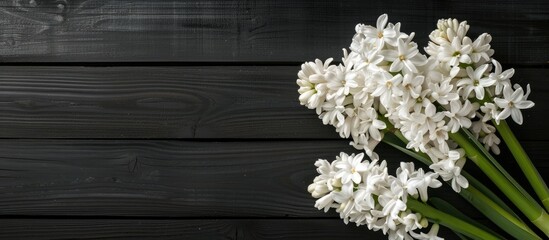 Poster - Hyacinth flowers in a white color against a black wooden table with space for text or images. Creative banner. Copyspace image