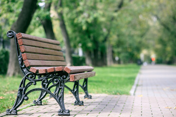 Wall Mural - A park bench sits in a grassy area next to a brick walkway