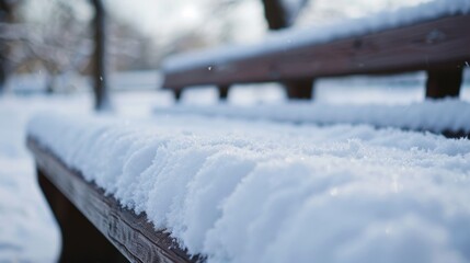 Wall Mural - Snow blankets a wooden bench in a serene park, capturing the beauty of winter's chill during early morning light