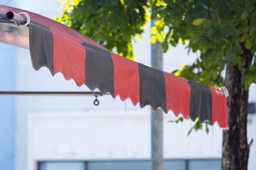 Wall Mural - A red and black striped awning is hanging over a tree