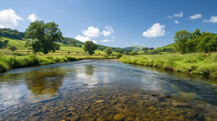Aufkleber - A river with a clear blue sky above it. The water is calm and the grass is green