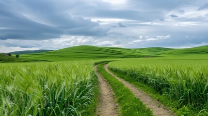 Poster - A road runs through a lush green field with a cloudy sky overhead. Scene is peaceful and serene, with the road leading to a beautiful landscape
