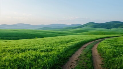 Poster - A road runs through a lush green field with mountains in the background. The scene is peaceful and serene, with the road leading to a beautiful landscape