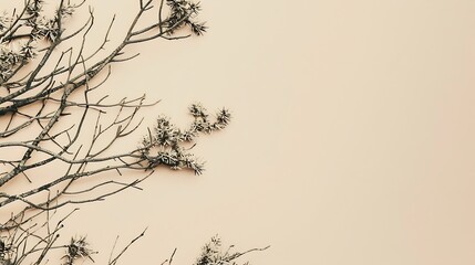 Aufkleber - Abstract north nature scene with a composition of lichen pine branches and dry snags Beige background for cosmetics beauty product branding identity and packaging Copy space : Generative AI