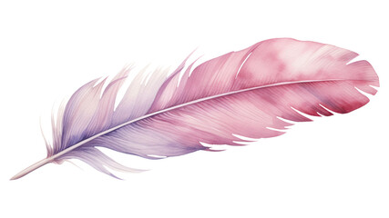 Sticker - PNG Feather pink white background lightweight.