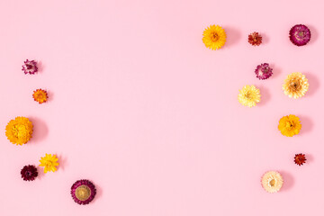 Wall Mural - flowers autumn composition. floral background pattern. flat lay, top view of beautiful multi-colored