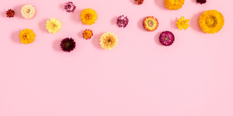 Wall Mural - flowers autumn composition. floral background pattern. flat lay, top view of beautiful multi-colored
