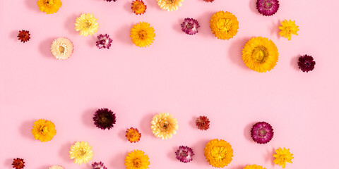 Wall Mural - flowers autumn composition. floral background pattern. flat lay, top view of beautiful multi-colored