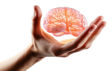 Sticker - PNG Hand finger adult brain.