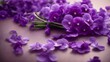 violets on the table