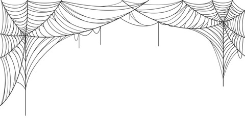 Wall Mural - illustration of an spider web background, Spider web line art vector eps