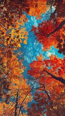 Poster - A beautiful autumn day with trees in full bloom